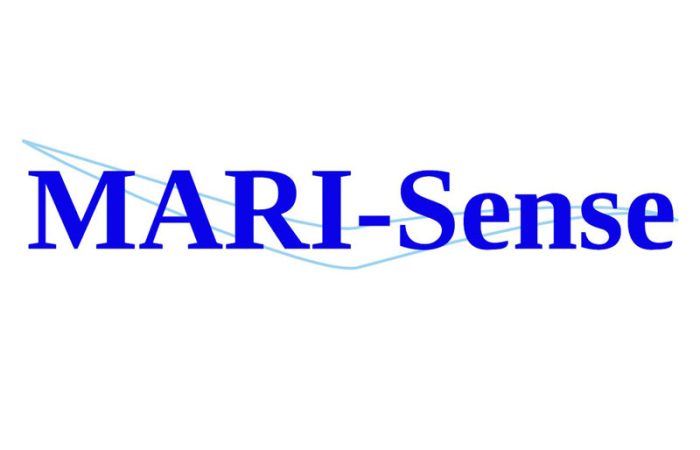 mari_sense_logo